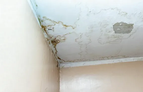 Brown water-stain rings spreading across a painted ceiling in the corner of a room